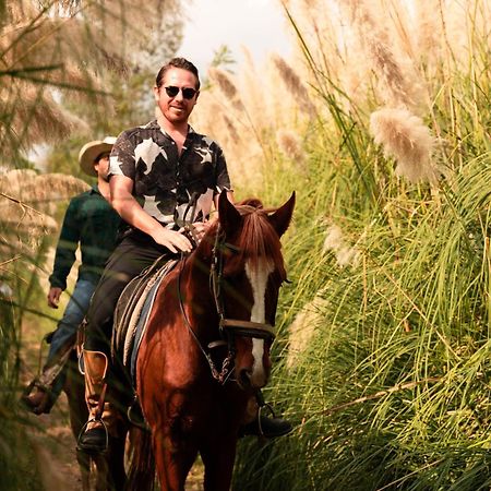 Rancho Reencuentro Eco Hotel & Cabalgatas Valle de Bravo Εξωτερικό φωτογραφία