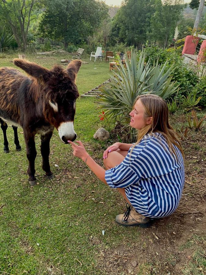 Rancho Reencuentro Eco Hotel & Cabalgatas Valle de Bravo Εξωτερικό φωτογραφία