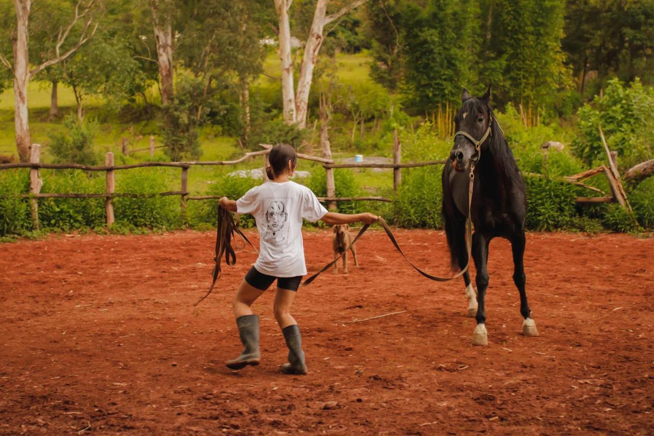 Rancho Reencuentro Eco Hotel & Cabalgatas Valle de Bravo Εξωτερικό φωτογραφία